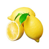 yatak-limon-kg